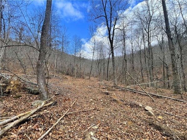 40.12 Acres Landlock Road, Marshall, AR 72650