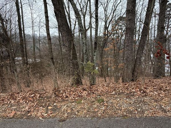 0 Wynnwood Road, Chattanooga, TN 37412