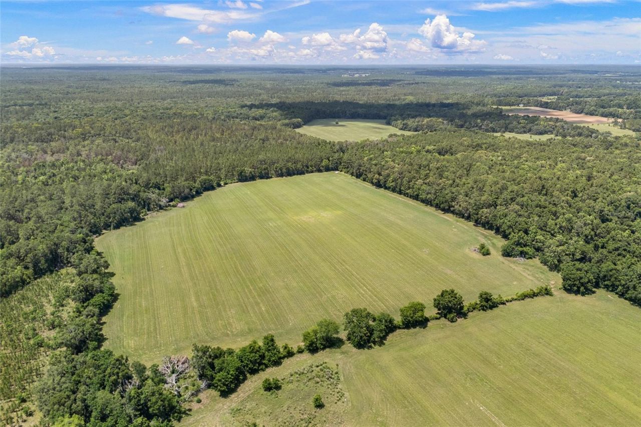 227th Drive, High Springs, FL 32643 Photo