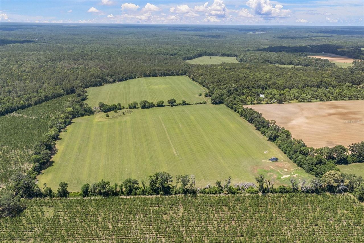 227th Drive, High Springs, FL 32643 Photo