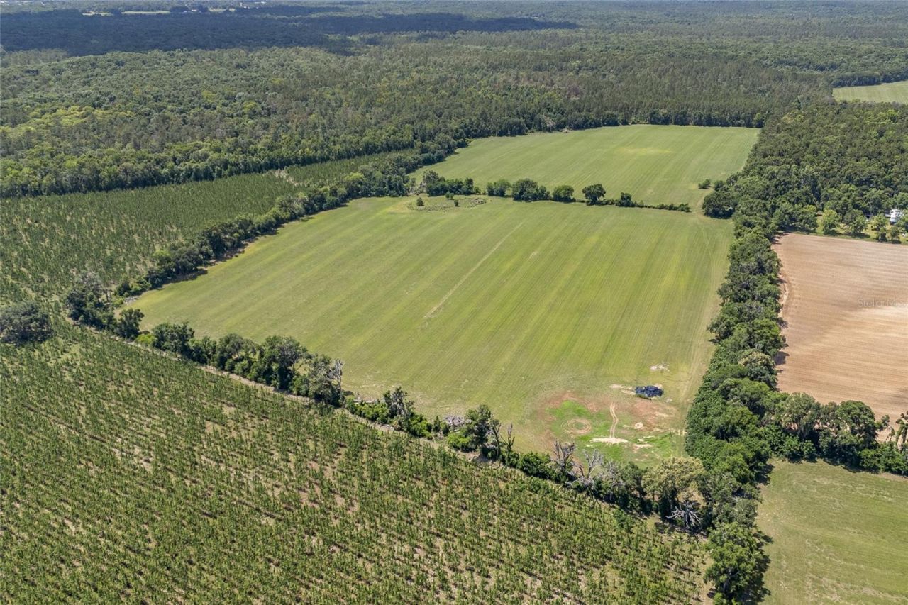 227th Drive, High Springs, FL 32643 Photo