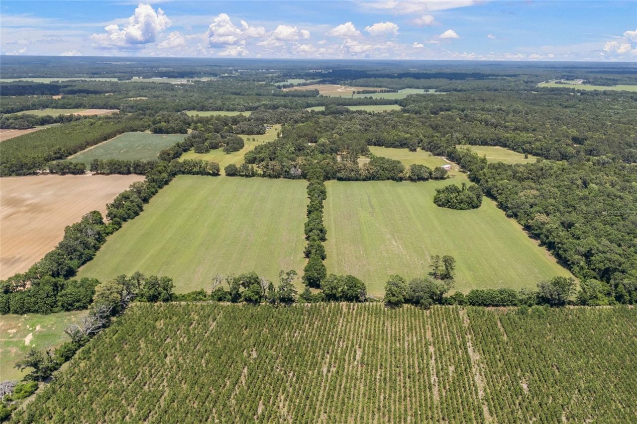 227th Drive, High Springs, FL 32643 Photo