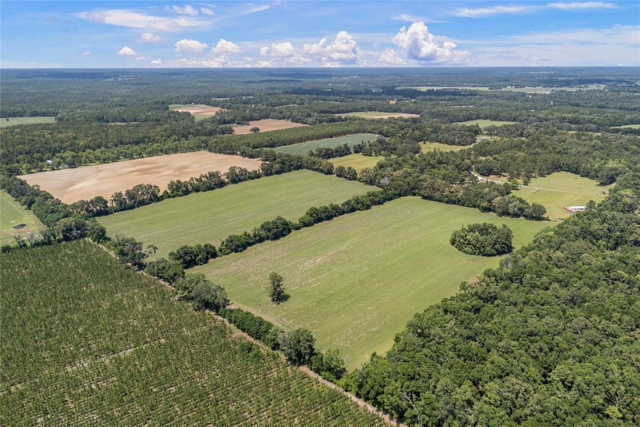 227th Drive, High Springs, FL 32643 Photo