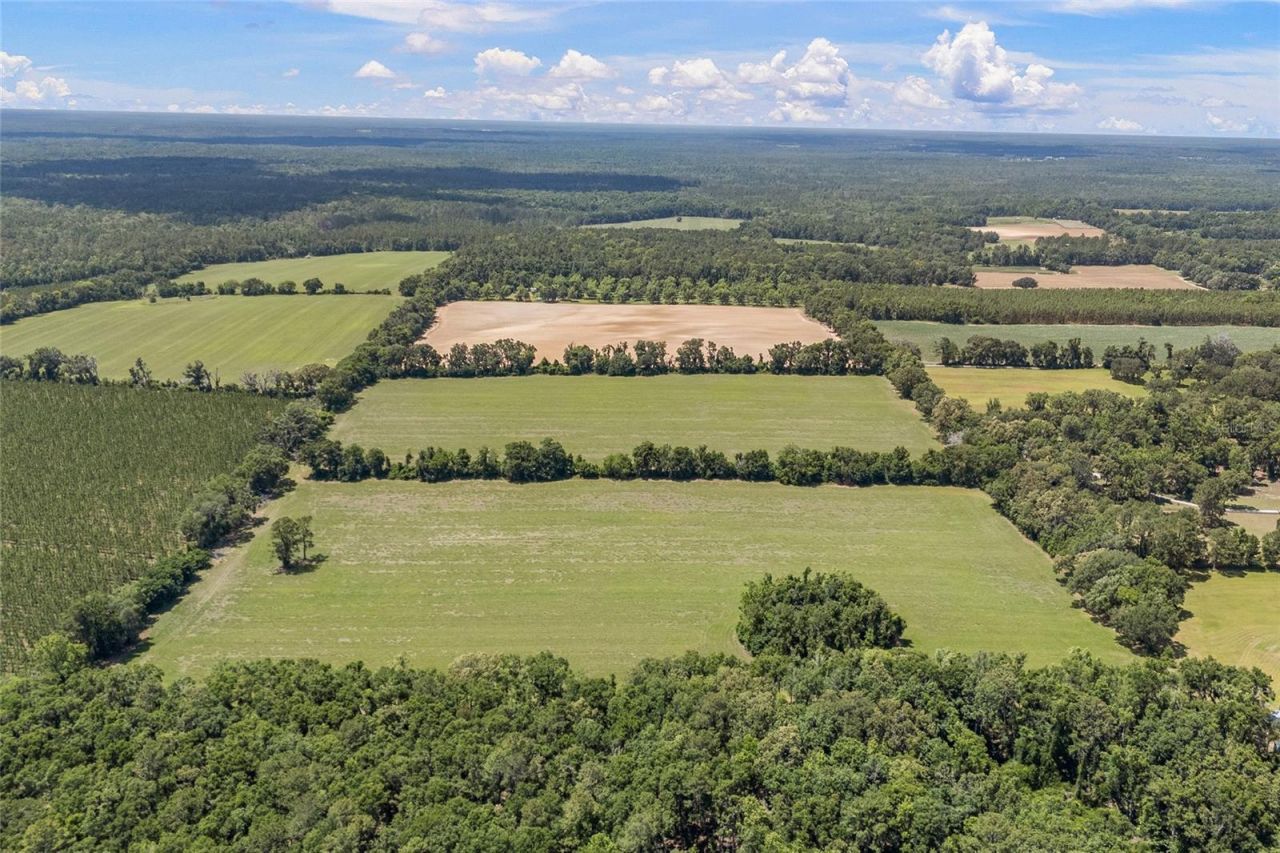 227th Drive, High Springs, FL 32643 Photo