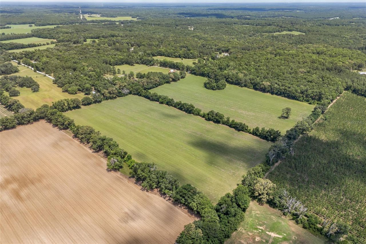 227th Drive, High Springs, FL 32643 Photo