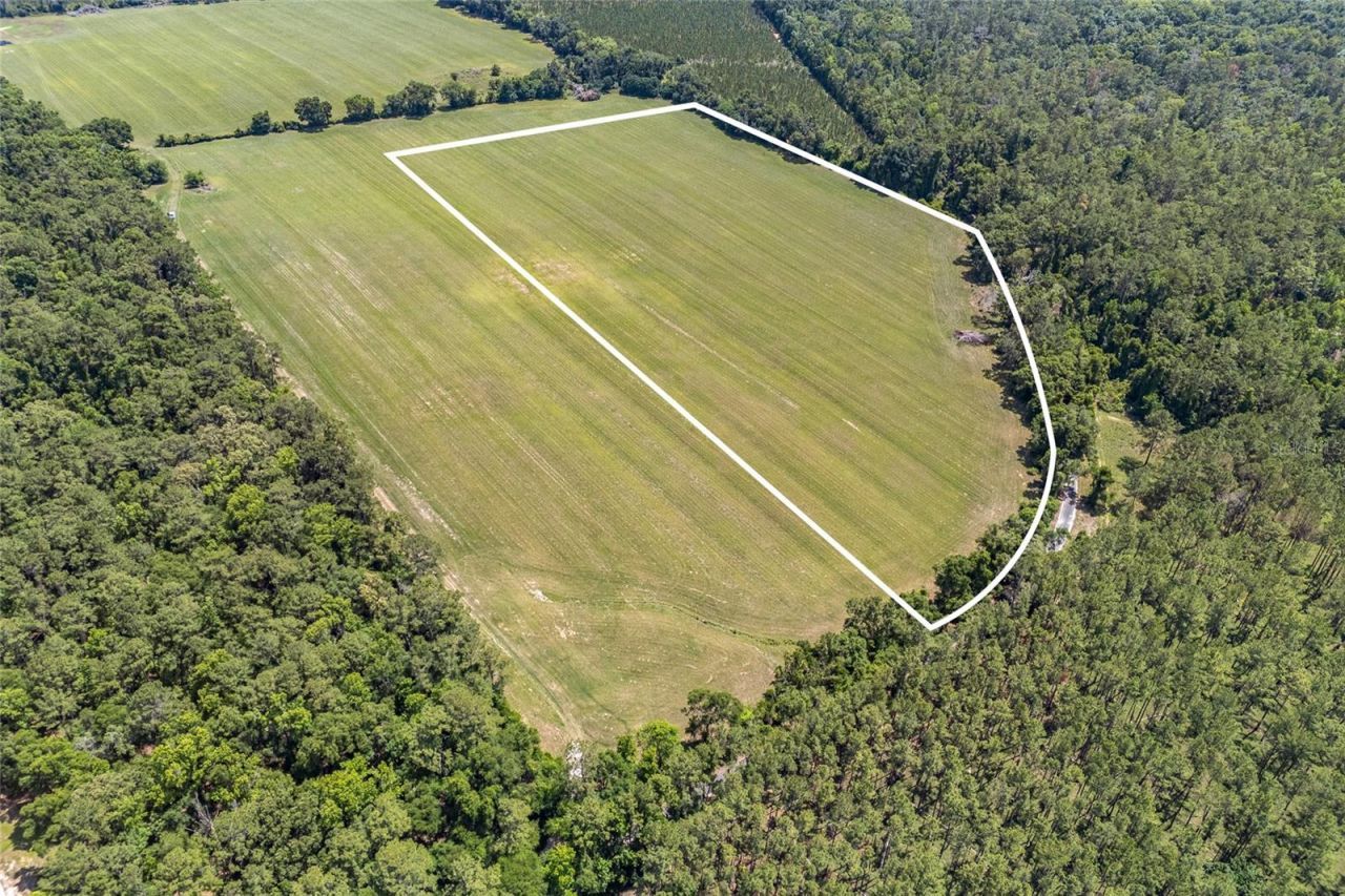 227th Drive, High Springs, FL 32643 Photo