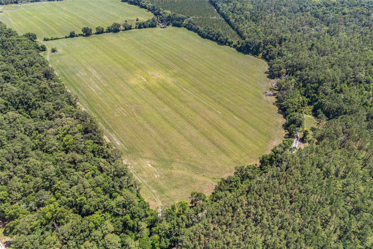 227th Drive, High Springs, FL 32643 Photo