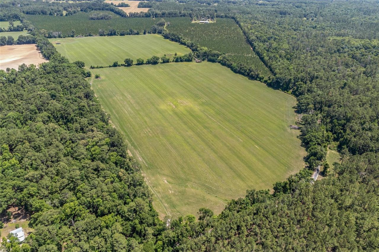 227th Drive, High Springs, FL 32643 Photo