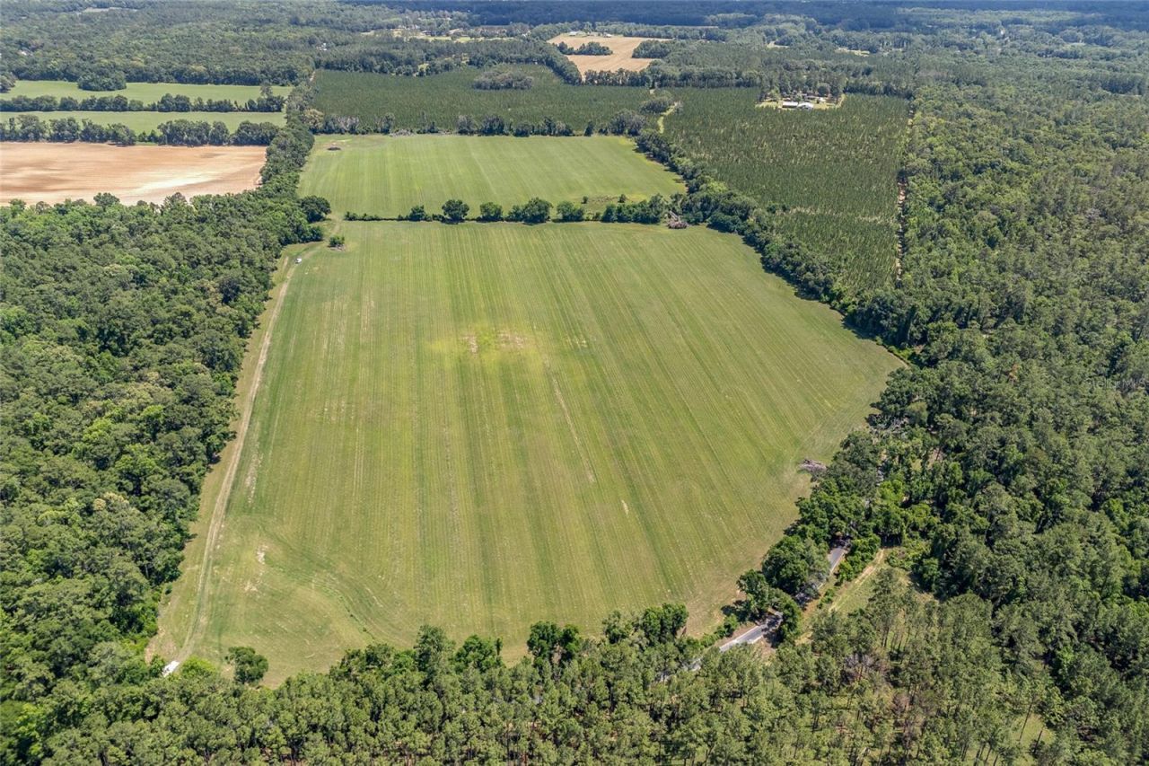 227th Drive, High Springs, FL 32643 Photo