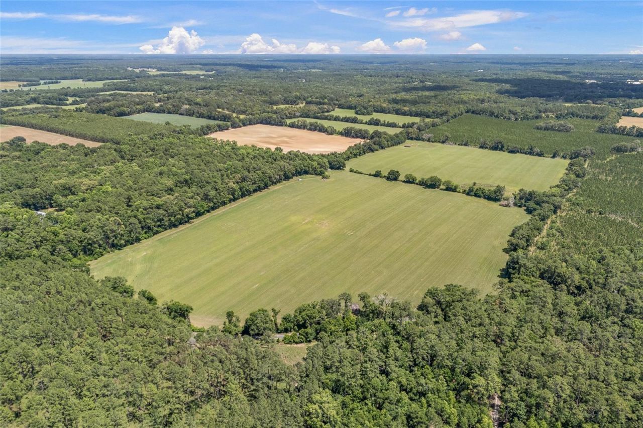 227th Drive, High Springs, FL 32643 Photo