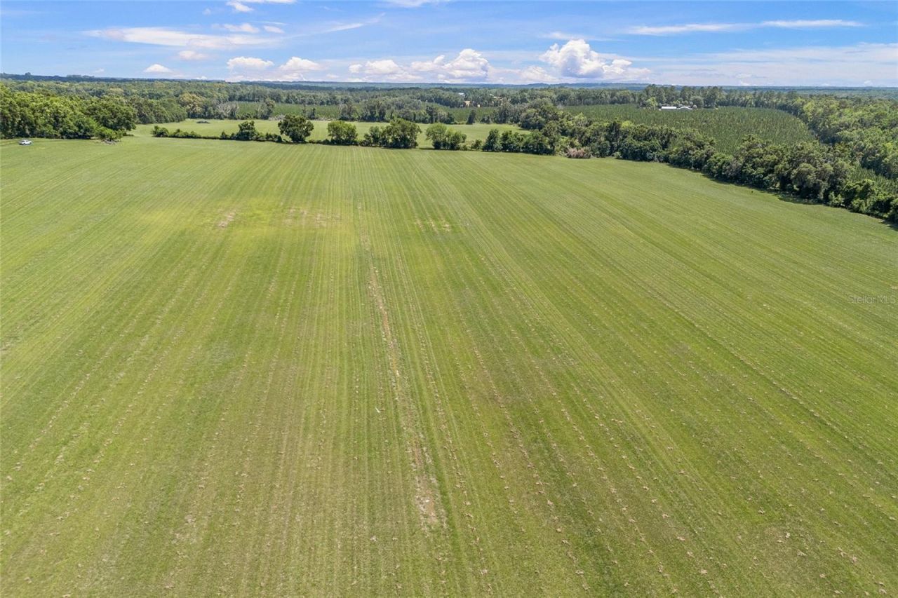 227th Drive, High Springs, FL 32643 Photo