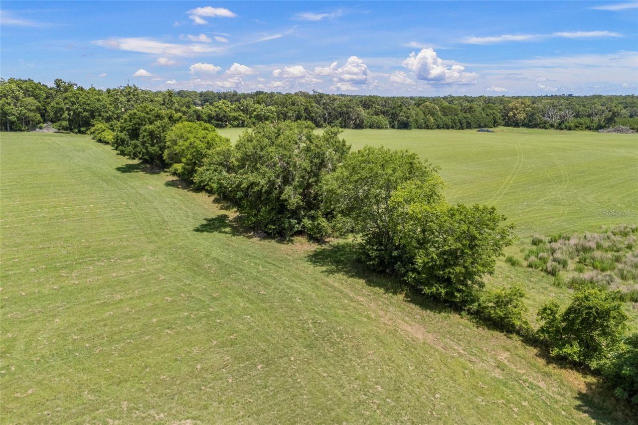 227th Drive, High Springs, FL 32643 Photo