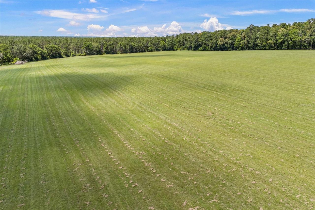 227th Drive, High Springs, FL 32643 Photo