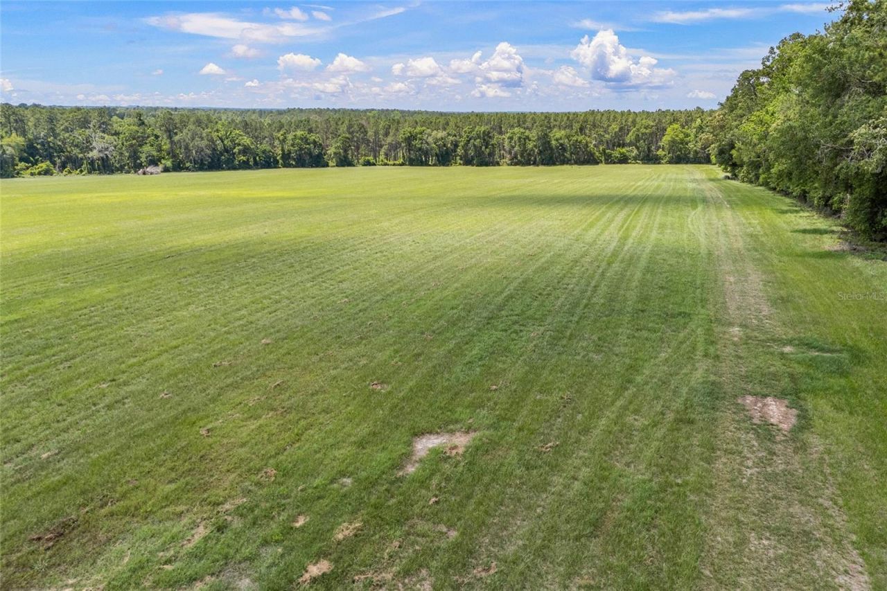 227th Drive, High Springs, FL 32643 Photo