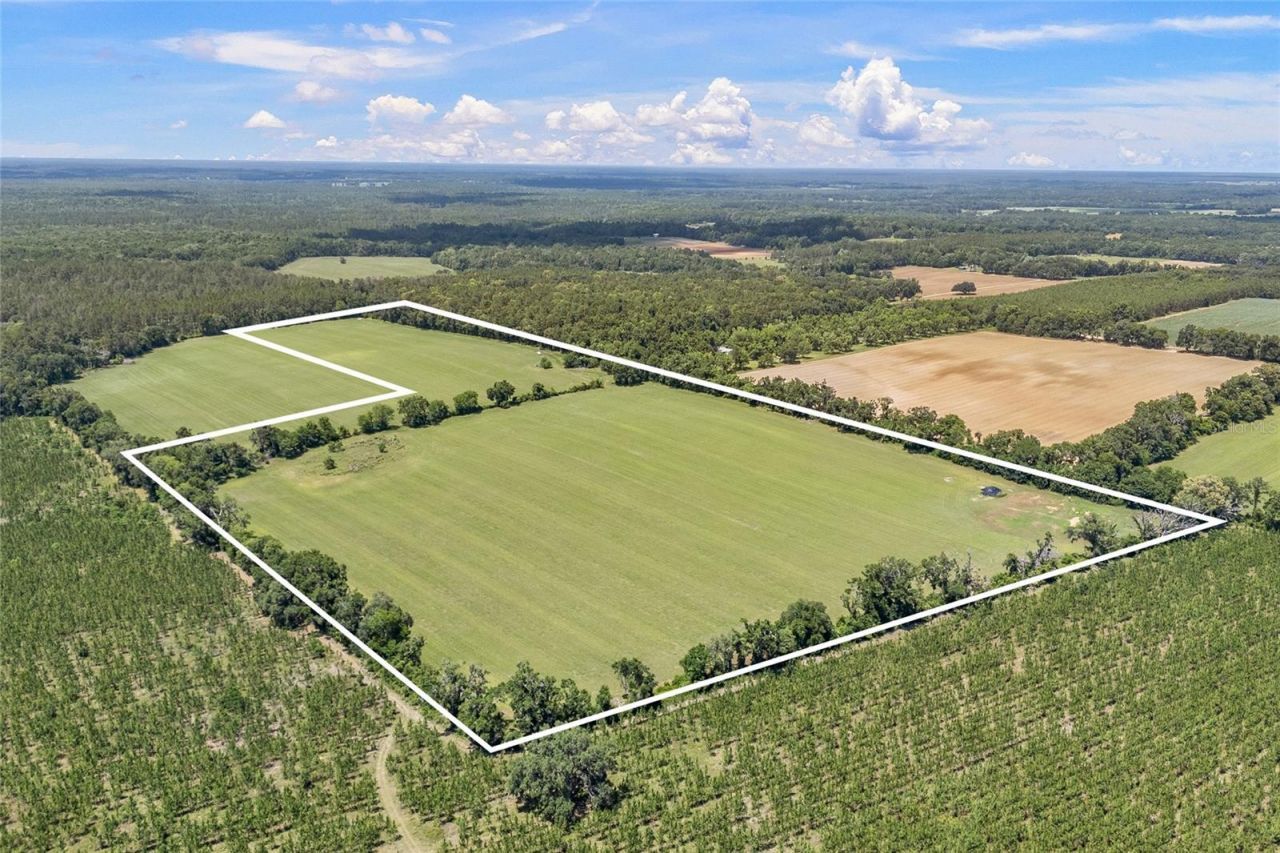 227th Drive, High Springs, FL 32643 Photo