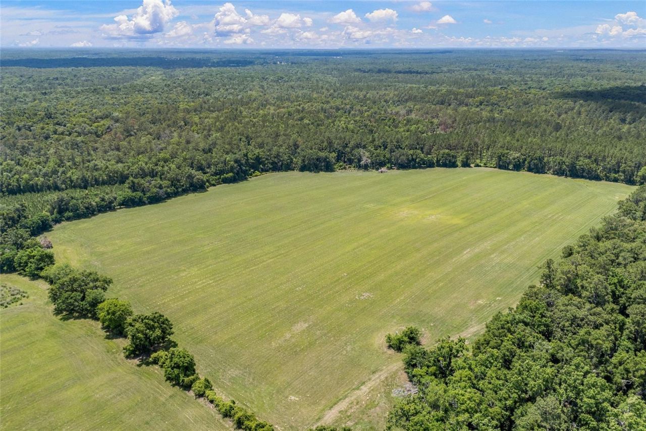 227th Drive, High Springs, FL 32643 Photo