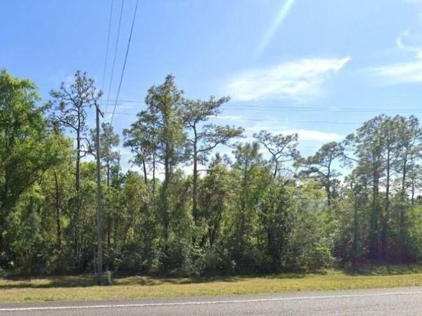 20106 E COLONIAL DRIVE, CHRISTMAS, FL 32709