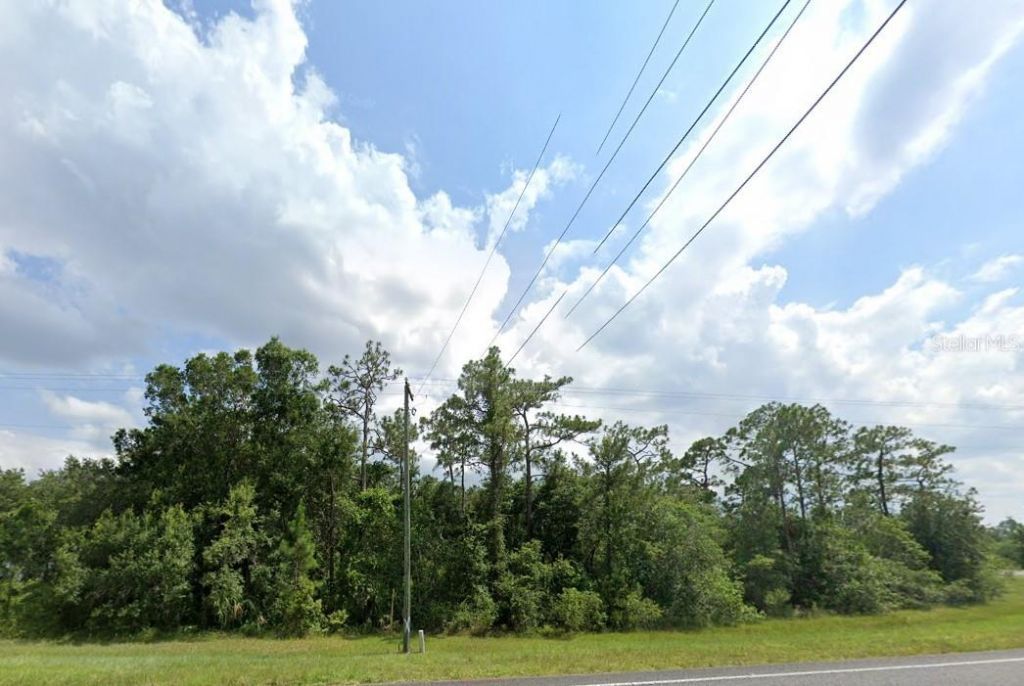 20106 E Colonial Drive, Christmas, FL 32709 Photo