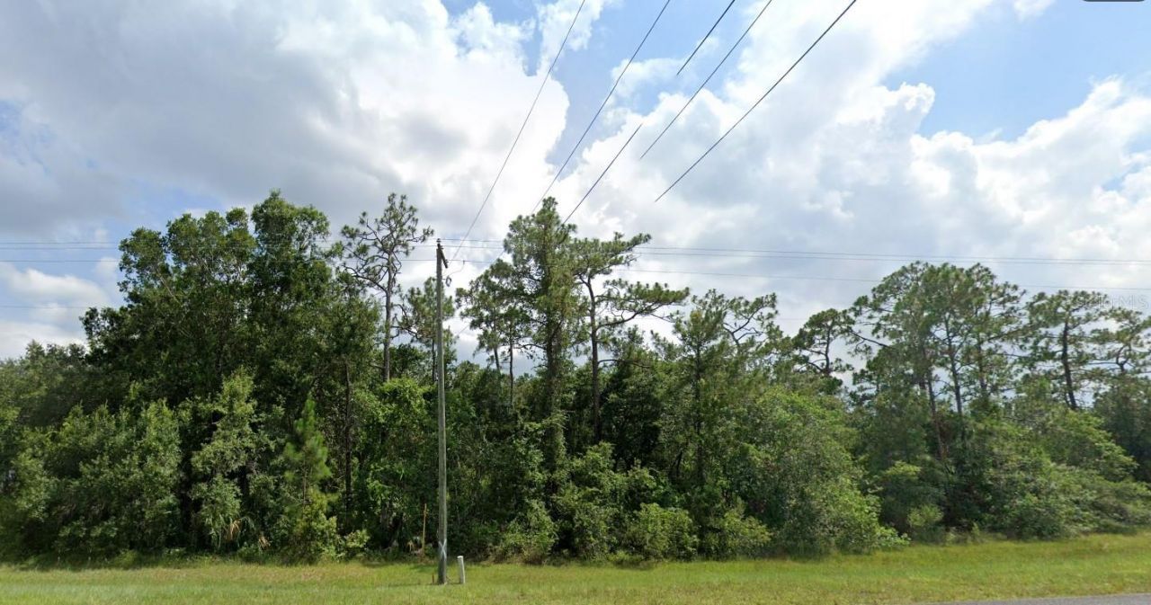 20106 E Colonial Drive, Christmas, FL 32709 Photo