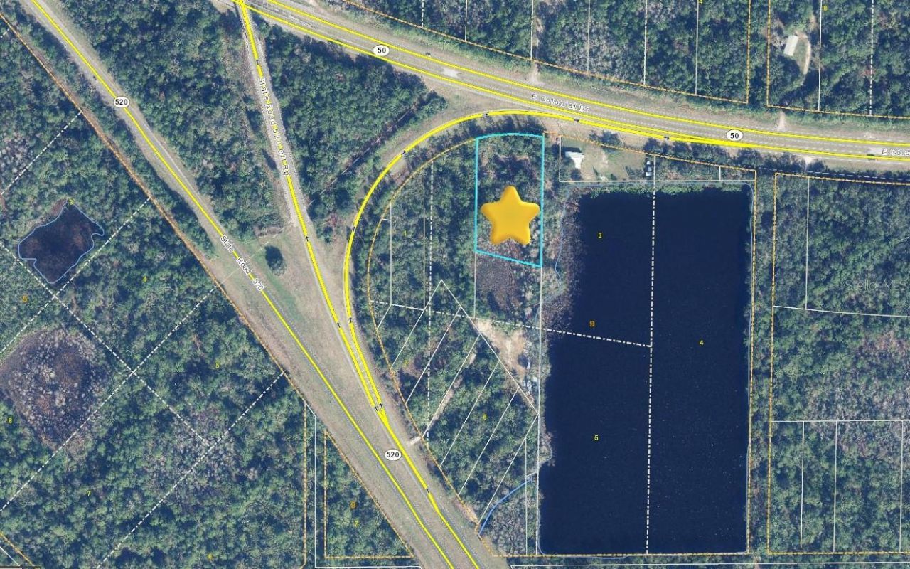 20106 E Colonial Drive, Christmas, FL 32709 Photo