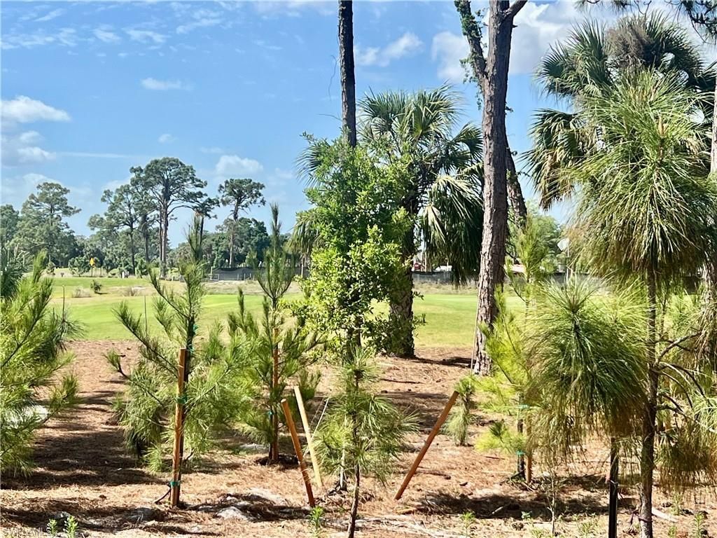 9317 Aegean Cir, Lehigh Acres, FL 33936 Photo