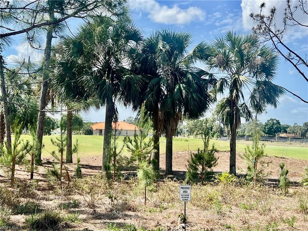 9317 Aegean Cir, Lehigh Acres, FL 33936 Photo