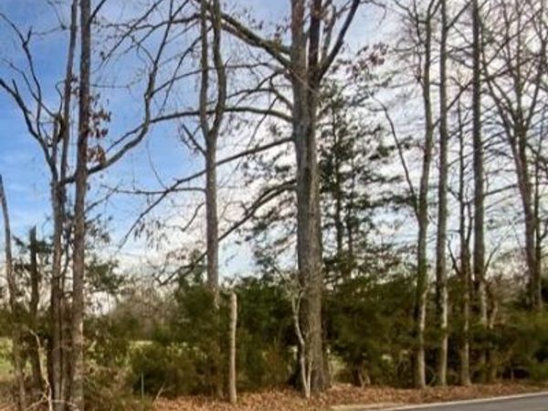 1178 Stump Ridge Road, Brandon, MS 39047