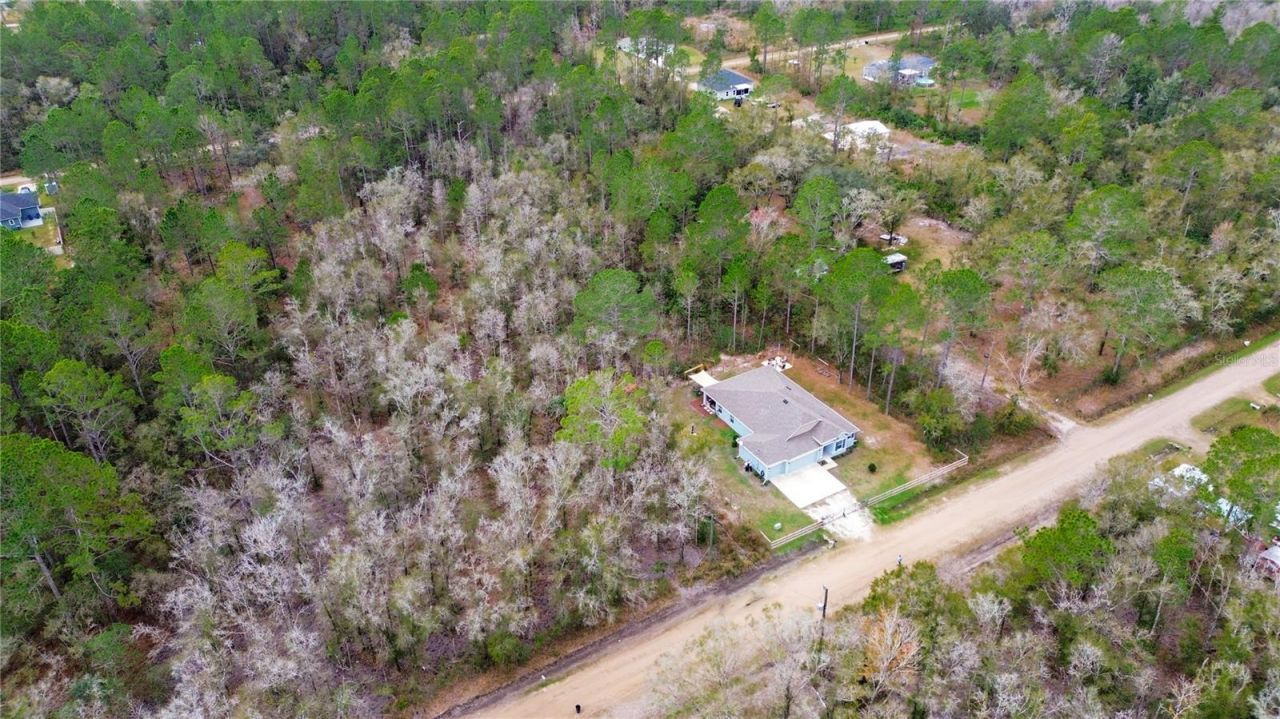 4555 Alvin Street, Hastings, FL 32145 Photo