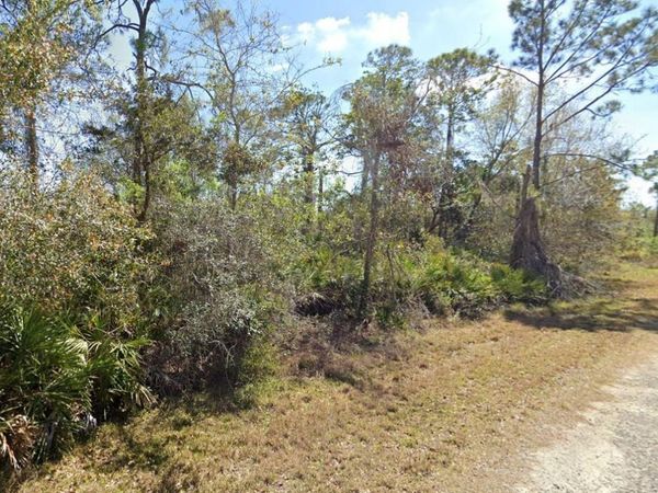810 PACIFIC STREET, LAKE PLACID, FL 33852