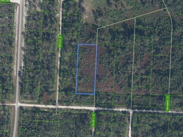 810 PACIFIC STREET, LAKE PLACID, FL 33852