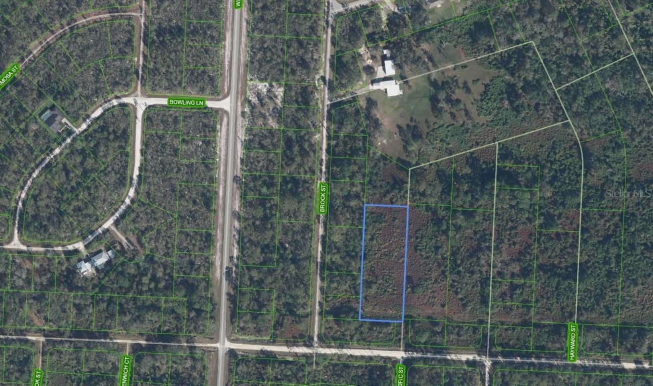 810 Pacific Street, Lake Placid, FL 33852 Photo