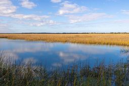 2393 Folly Road photo 4