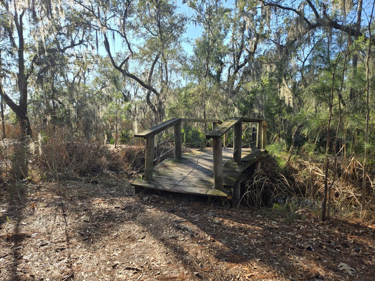 2902 Rutherford Way Photo 53