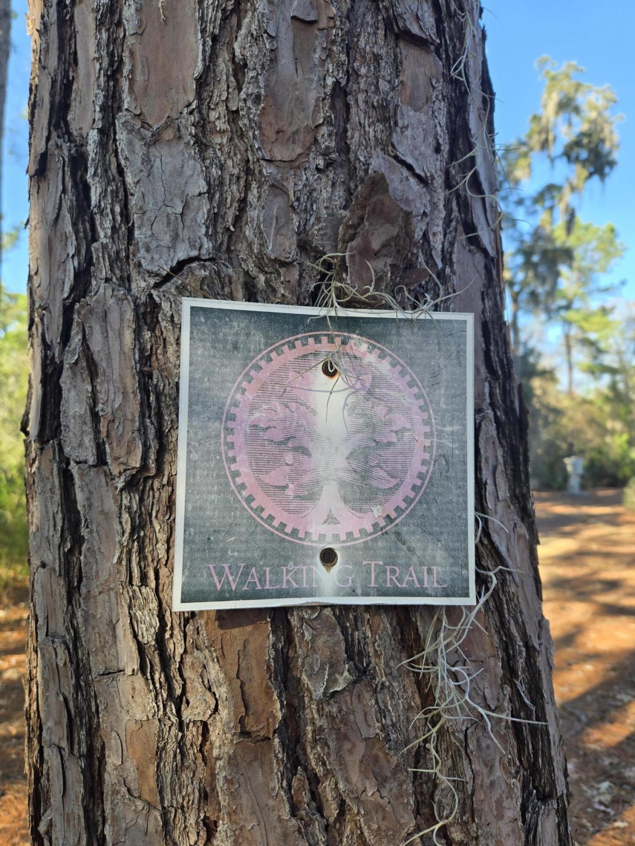 2902 Rutherford Way Photo 54