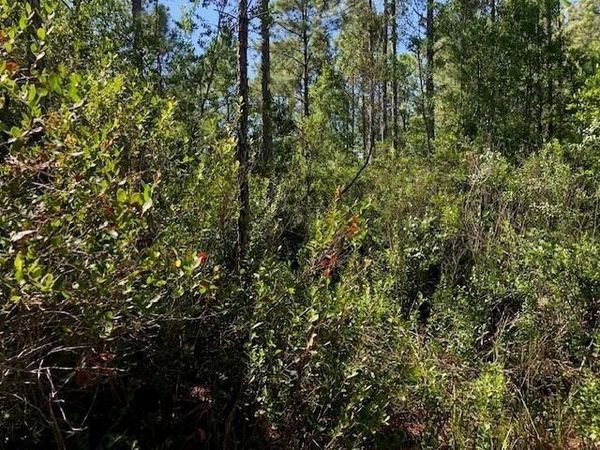 0 Old Grade Rd, Polk City, FL 33868