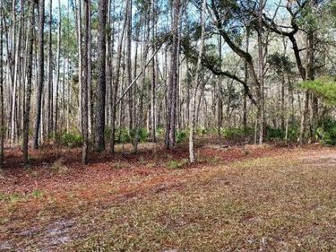 SE 68TH TERRACE, WHITE SPRINGS, FL 32096