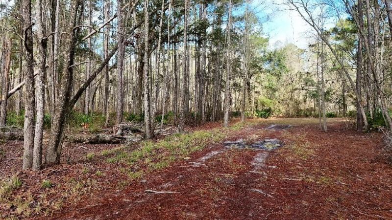 Se 68th Terrace, White Springs, FL 32096 Photo