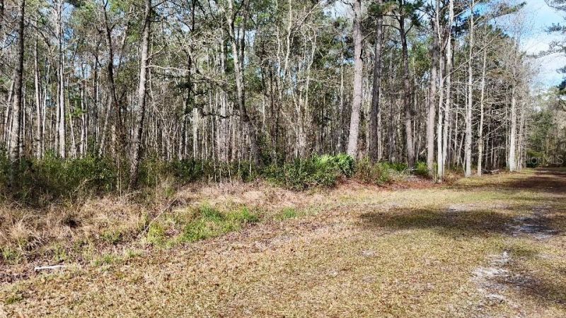 Se 68th Terrace, White Springs, FL 32096 Photo