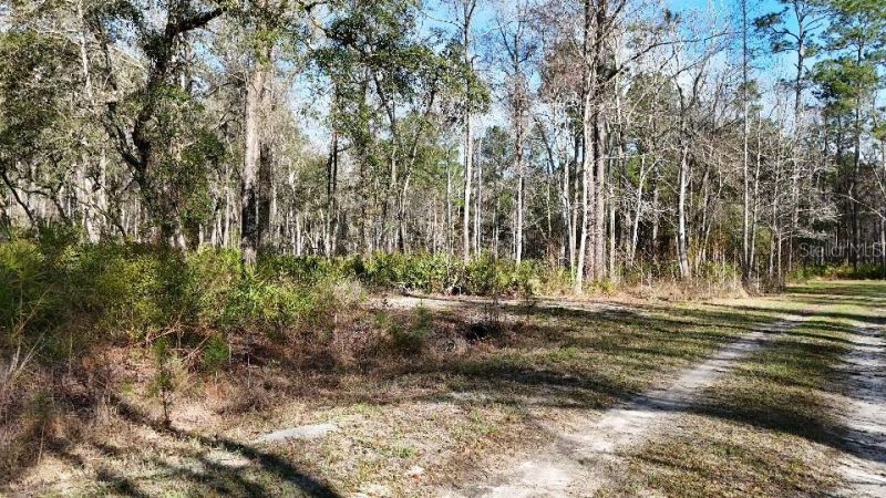 Se 68th Terrace, White Springs, FL 32096 Photo