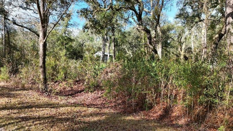 Se 68th Terrace, White Springs, FL 32096 Photo