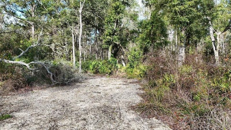 Se 68th Terrace, White Springs, FL 32096 Photo