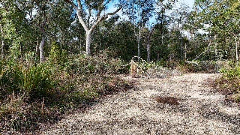 Se 68th Terrace, White Springs, FL 32096 Photo