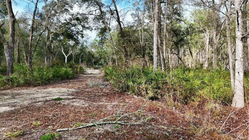 Se 68th Terrace, White Springs, FL 32096 Photo