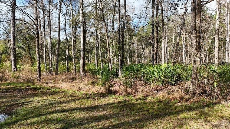 Se 68th Terrace, White Springs, FL 32096 Photo