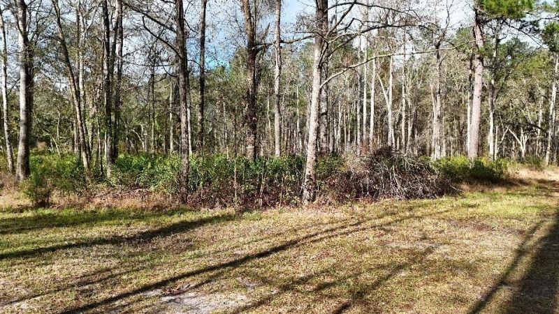 Se 68th Terrace, White Springs, FL 32096 Photo