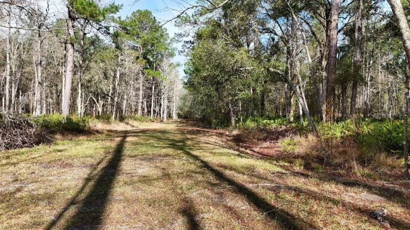 Se 68th Terrace, White Springs, FL 32096 Photo