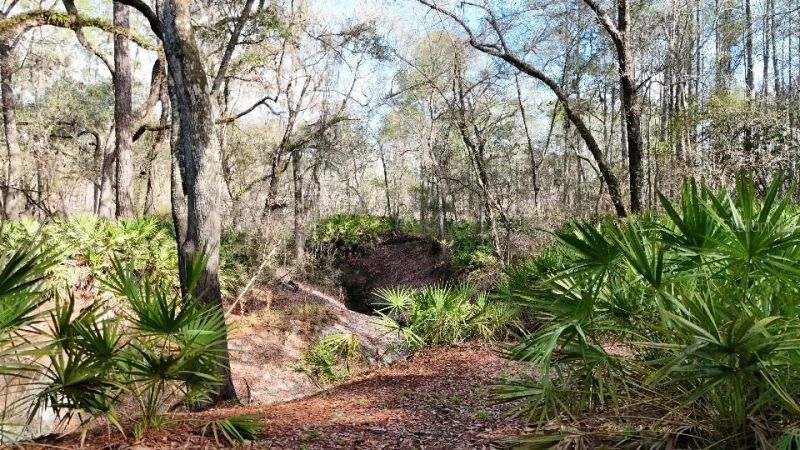 Se 68th Terrace, White Springs, FL 32096 Photo