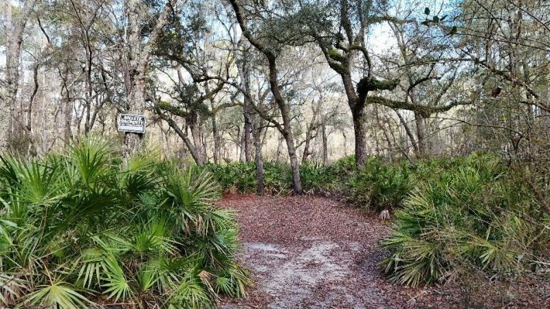 Se 68th Terrace, White Springs, FL 32096 Photo