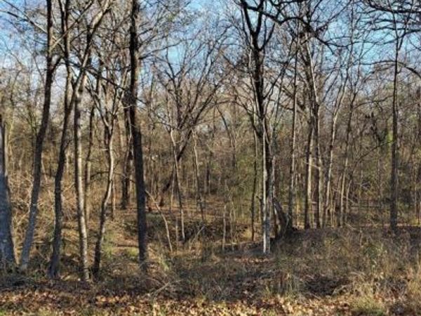 0 Wood Lane, Mabank, TX 75156