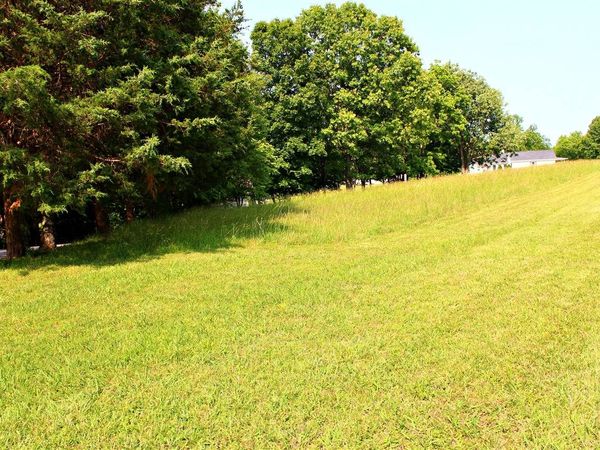 Lot 11 Halifax Road, Scottsville, KY 42164